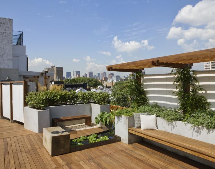 Roofgarden... on the top