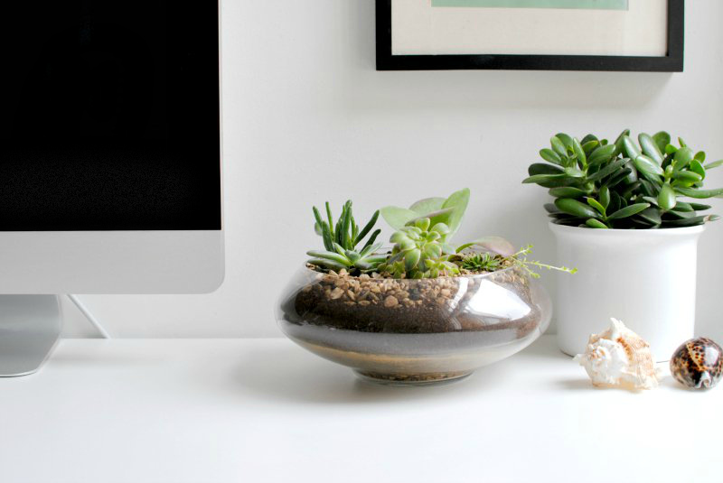 7 ιδέες να «φρεσκάρεις» το χώρο σου με φυτά