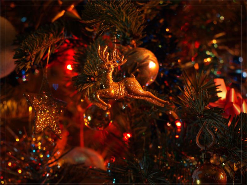 Το καλύτερο χριστουγεννιάτικο δέντρο 